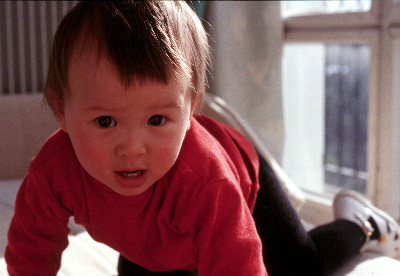 Nhu Mai