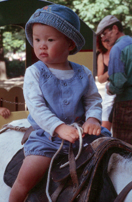Nhu Mai