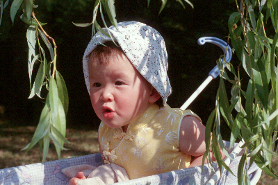 Nhu Mai