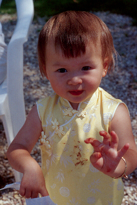 Nhu Mai