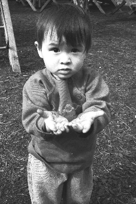 Nhu Mai