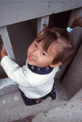 Nhu Mai