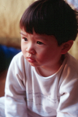 Nhu Mai
