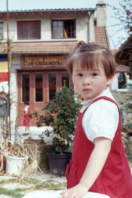 Nhu Mai