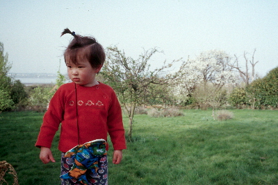Nhu Mai