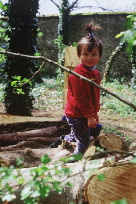 Nhu Mai
