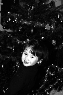 Nhu Mai