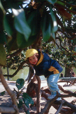 Nhu Mai