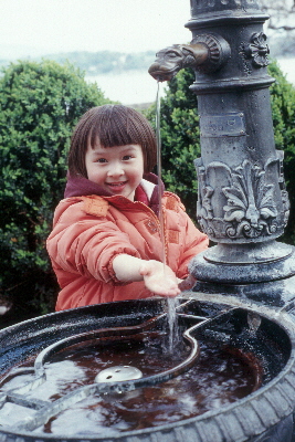 Nhu Mai