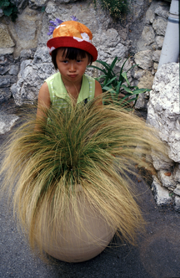 Nhu Mai