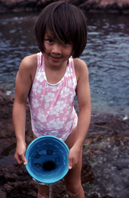 Nhu Mai