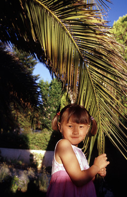 Nhu Mai
