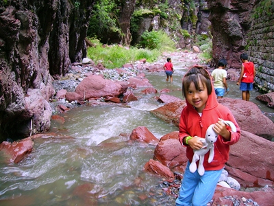 Nhu Mai