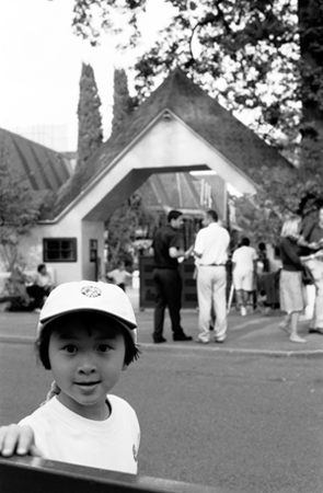 Nhu Mai